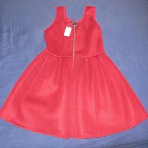 Ashley Stewart Mesh Neoprene Skater Dress